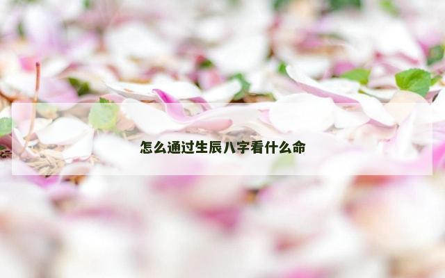 怎么通过生辰八字看什么命