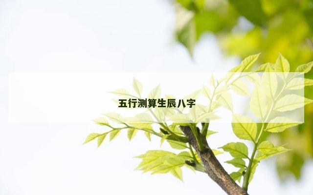 五行测算生辰八字