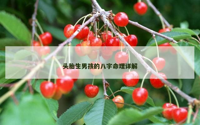 头胎生男孩的八字命理详解