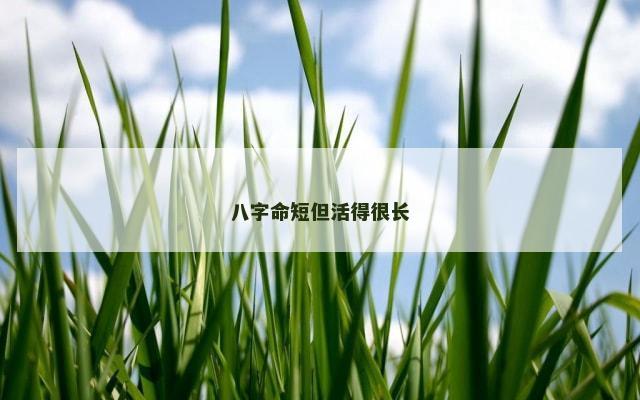 八字命短但活得很长