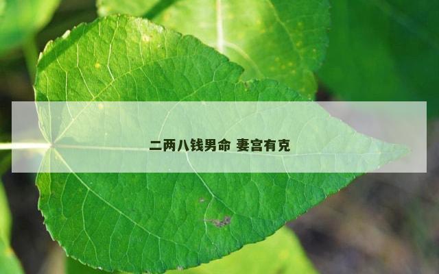 二两八钱男命 妻宫有克