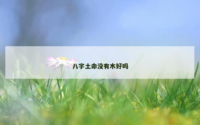 八字土命没有木好吗