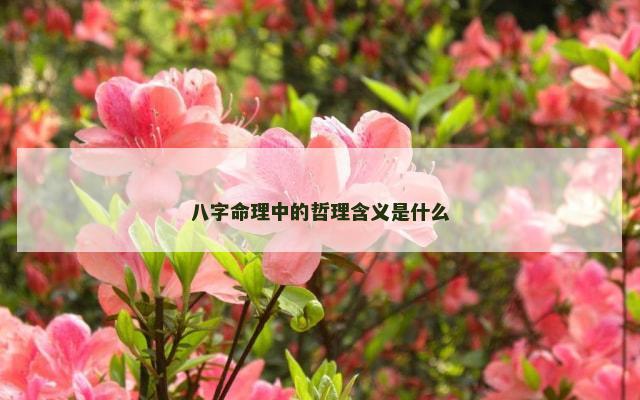 八字命理中的哲理含义是什么