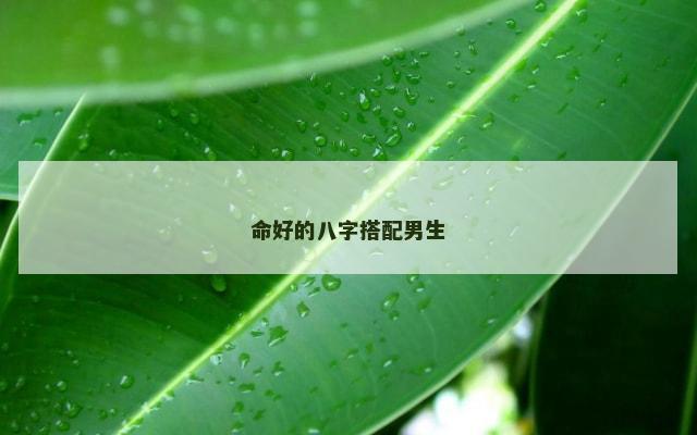 命好的八字搭配男生