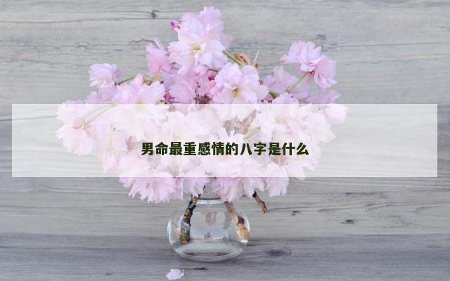 男命最重感情的八字是什么