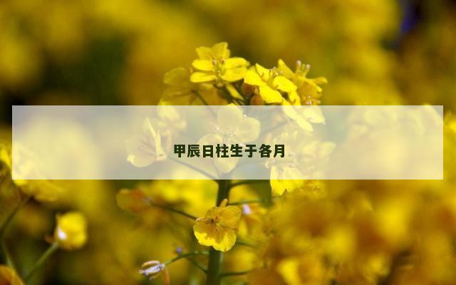 甲辰日柱生于各月