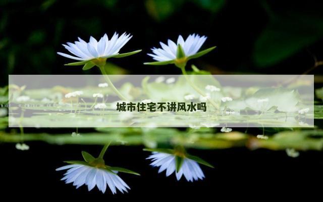 城市住宅不讲风水吗