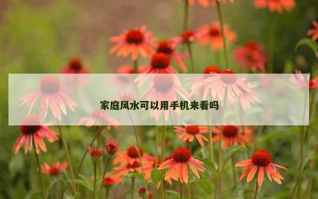 家庭风水可以用手机来看吗