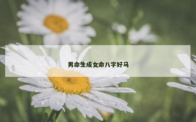 男命生成女命八字好马