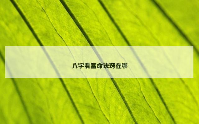 八字看富命诀窍在哪