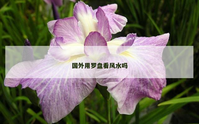 国外用罗盘看风水吗