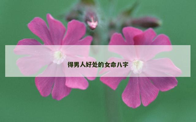 得男人好处的女命八字