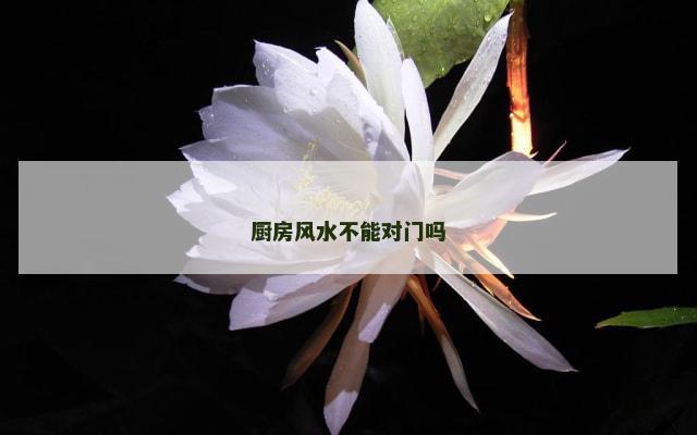 厨房风水不能对门吗