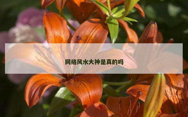 网络风水大神是真的吗