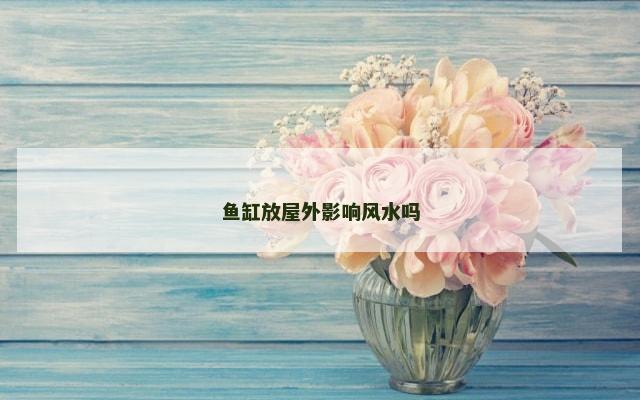 鱼缸放屋外影响风水吗