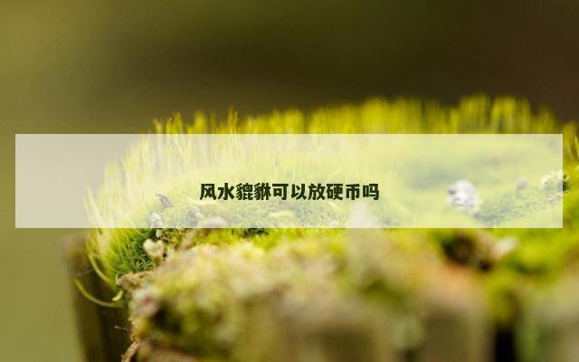 风水貔貅可以放硬币吗