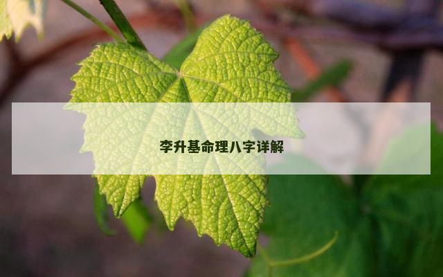 李升基命理八字详解