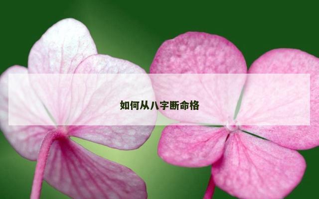 如何从八字断命格
