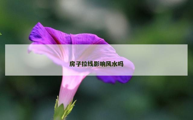 房子拉线影响风水吗