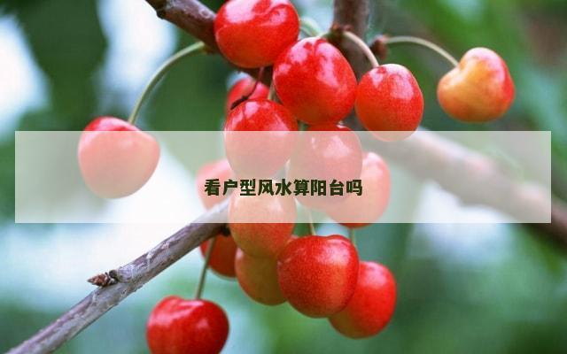 看户型风水算阳台吗