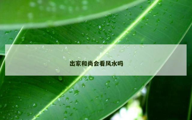 出家和尚会看风水吗