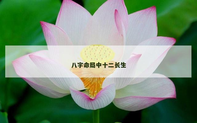 八字命局中十二长生