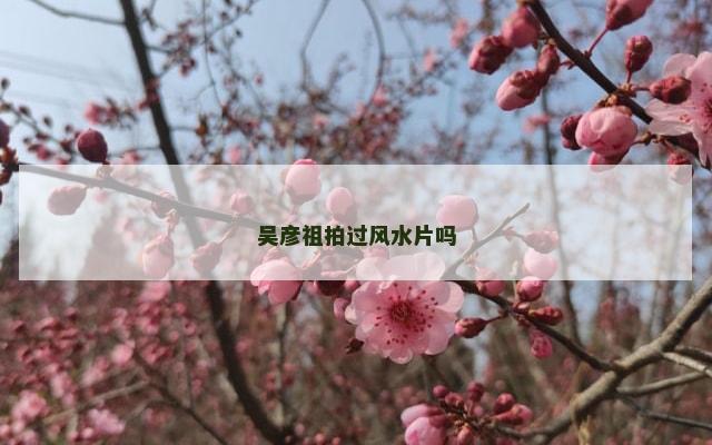 吴彦祖拍过风水片吗