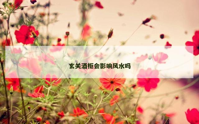 玄关酒柜会影响风水吗