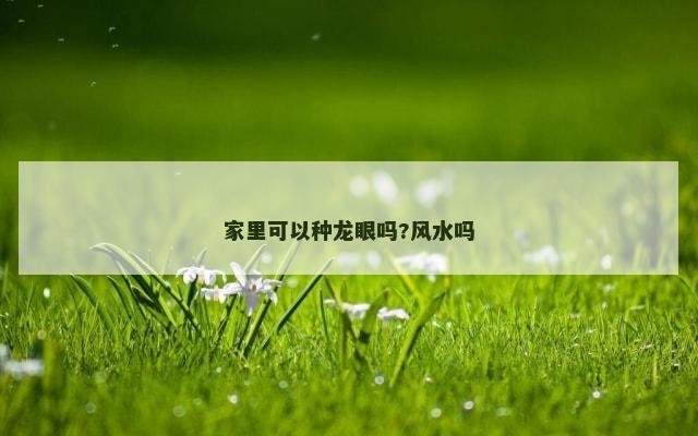 家里可以种龙眼吗?风水吗