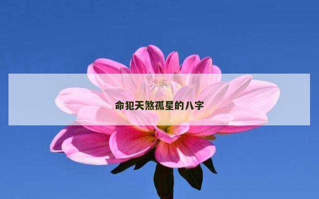 命犯天煞孤星的八字