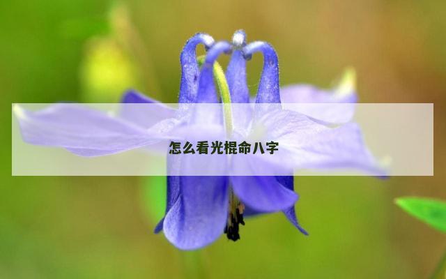 怎么看光棍命八字