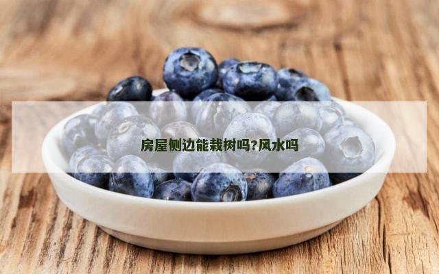 房屋侧边能栽树吗?风水吗