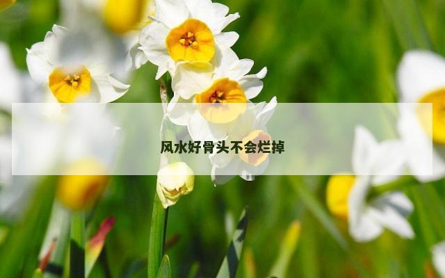 风水好骨头不会烂掉