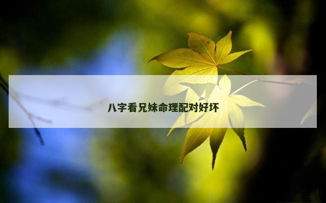 八字看兄妹命理配对好坏