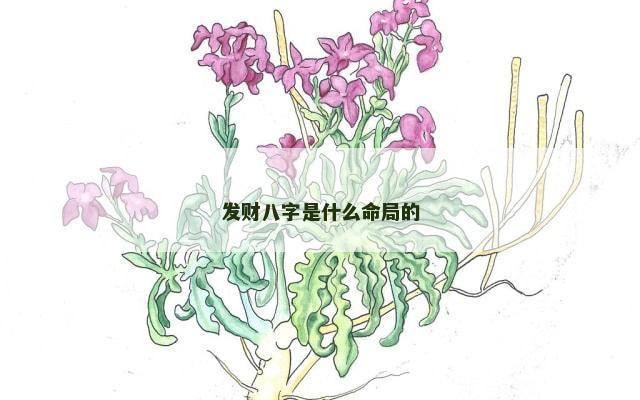 发财八字是什么命局的