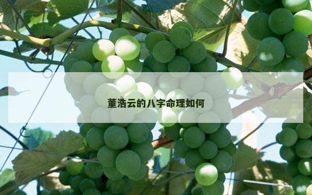 董浩云的八字命理如何