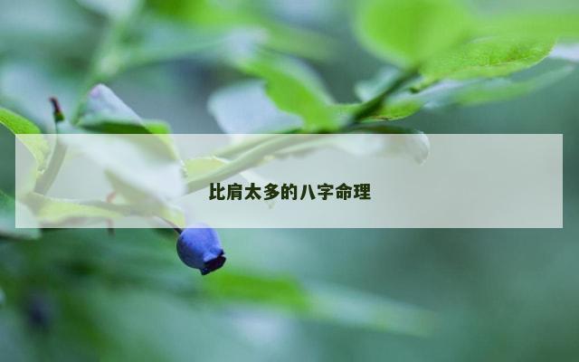 比肩太多的八字命理