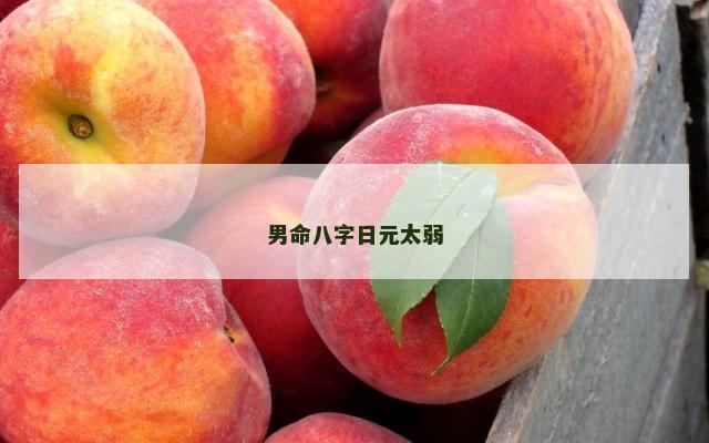 男命八字日元太弱