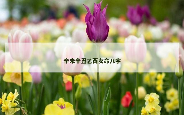 辛未辛丑乙酉女命八字