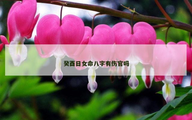 癸酉日女命八字有伤官吗