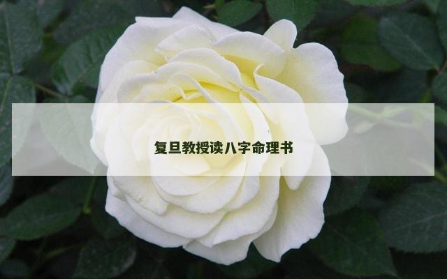 复旦教授读八字命理书