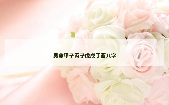 男命甲子丙子戊戌丁酉八字