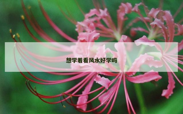 想学着看风水好学吗
