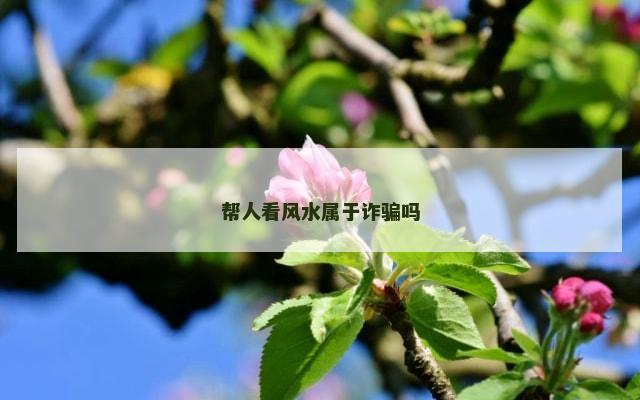 帮人看风水属于诈骗吗