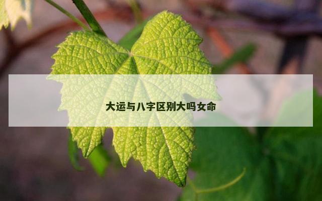 大运与八字区别大吗女命