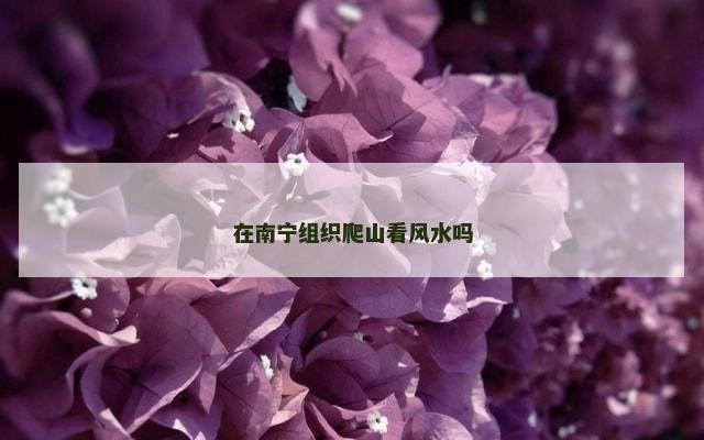 在南宁组织爬山看风水吗