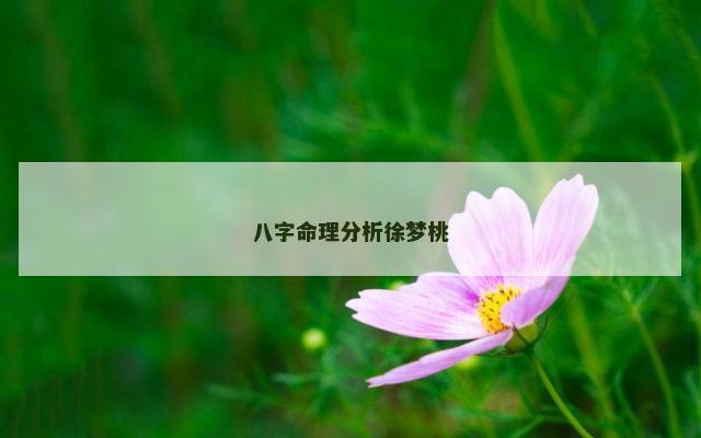 八字命理分析徐梦桃
