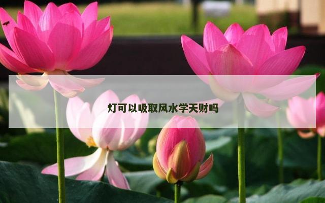 灯可以吸取风水学天财吗