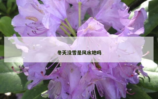 冬天没雪是风水地吗