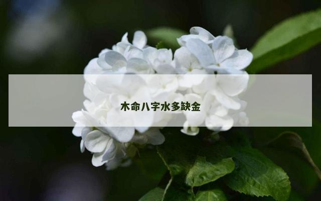 木命八字水多缺金